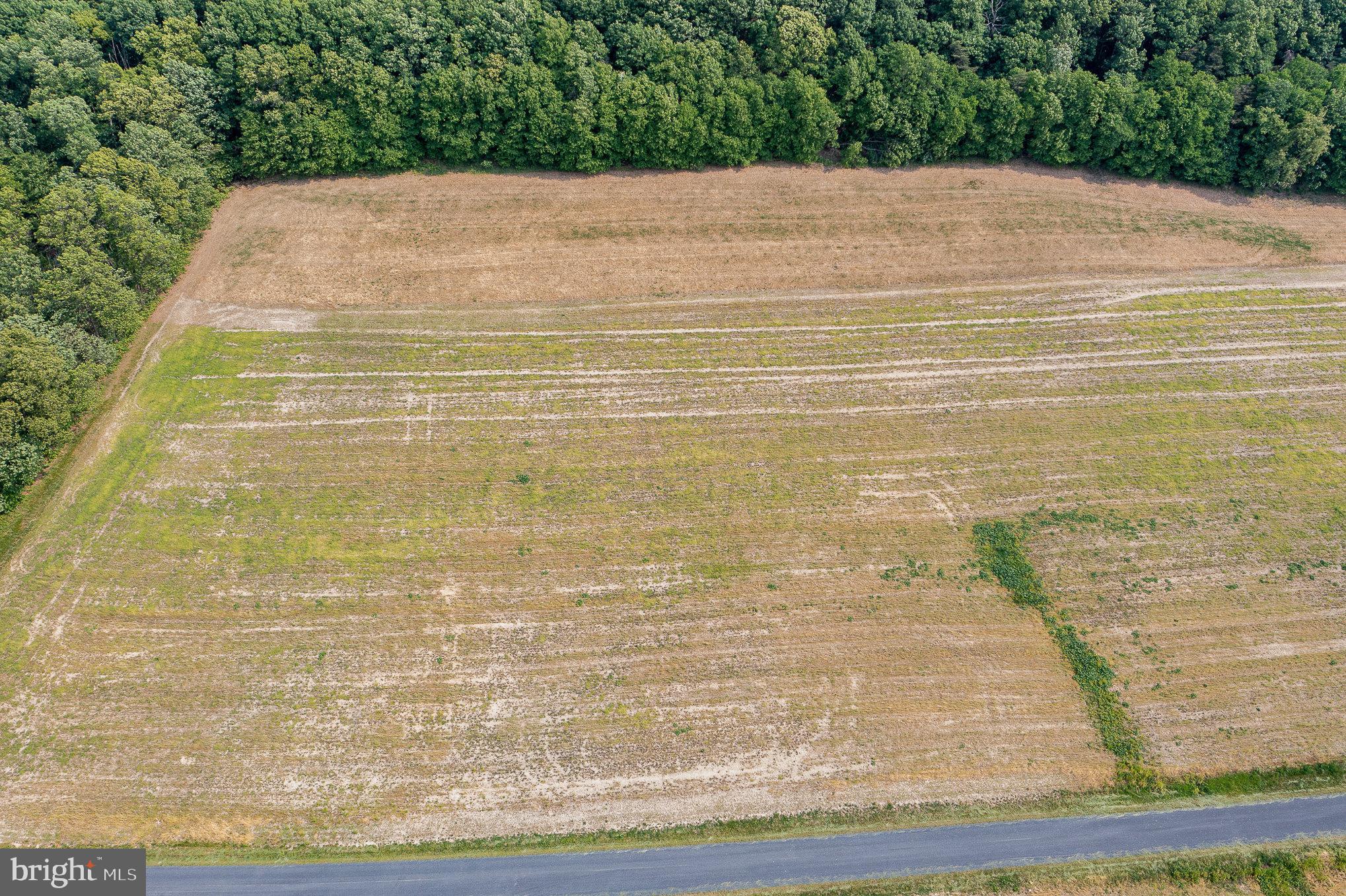 0 Kline Hollow Road Liverpool, PA 17045 - Photo 4 of 8 Gallery Image 4