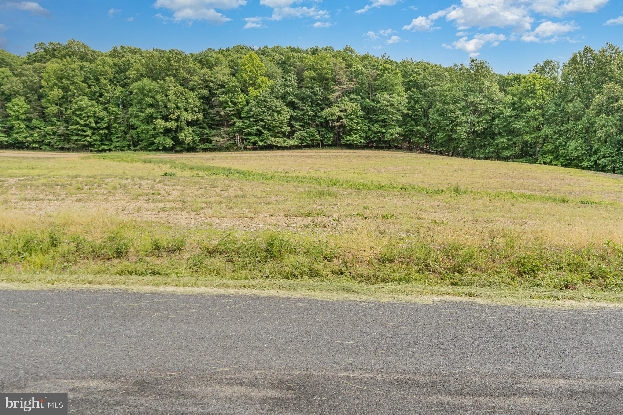 0 Kline Hollow Road Liverpool, PA 17045 - Photo 5 of 8 Gallery Image 5