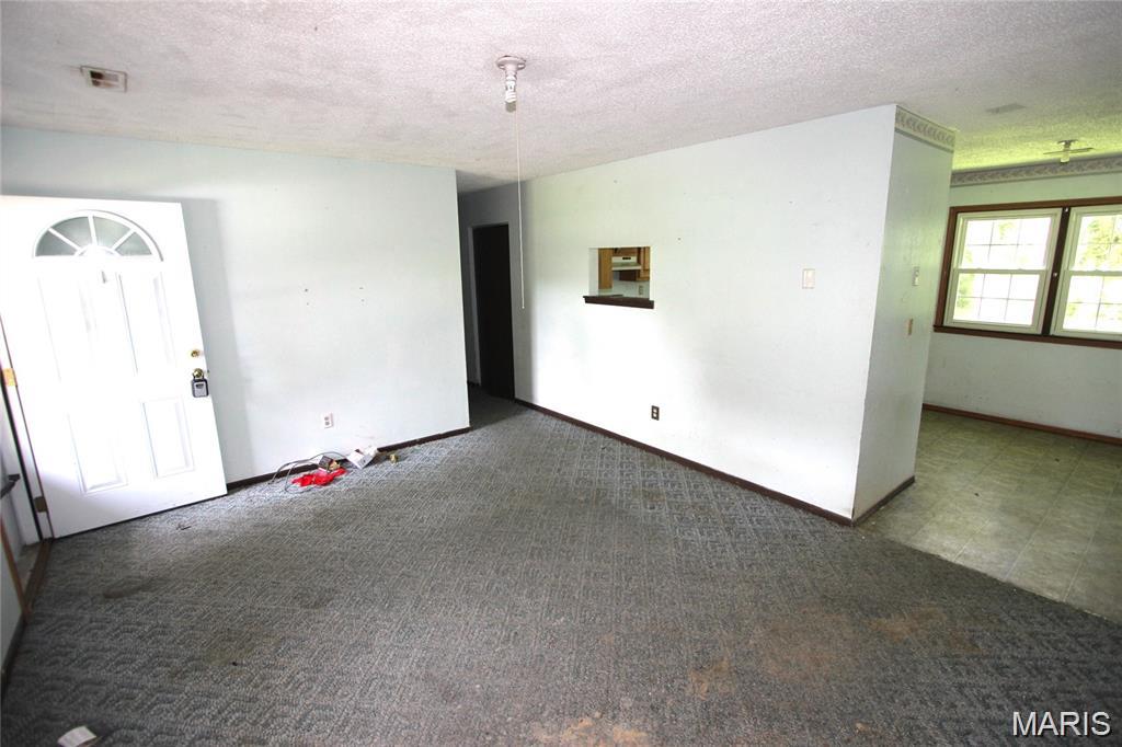 212 Heath Street Ironton, MO 63650 - Photo 4 of 10