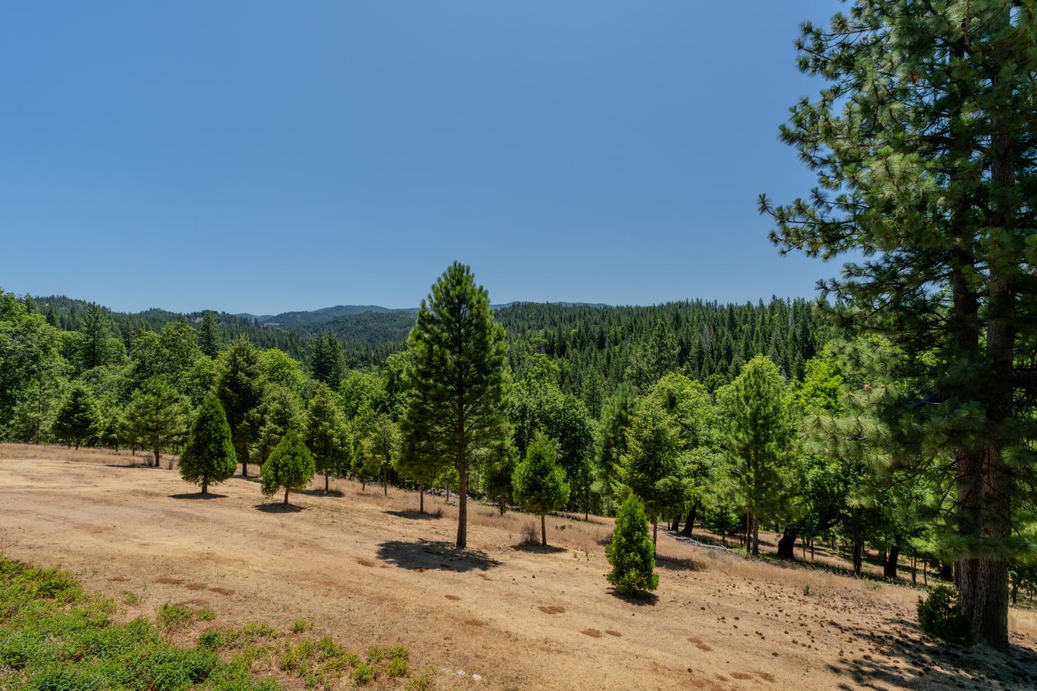 7401 Schaad Road Wilseyville, CA 95257 - Photo 47 of 76