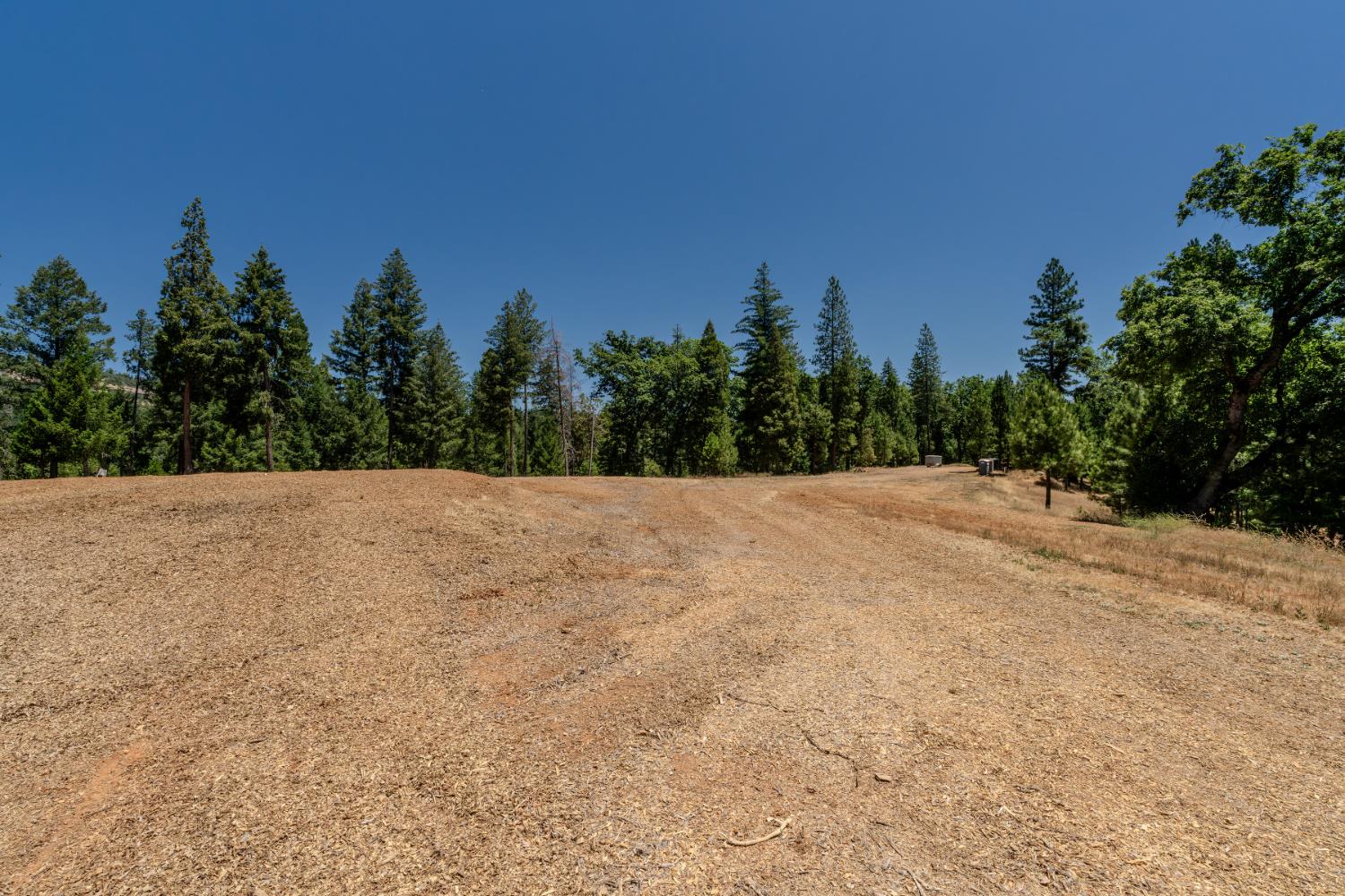 7401 Schaad Road Wilseyville, CA 95257 - Photo 61 of 76 a view of a dry yard with trees in the background