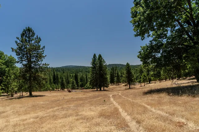 $2,750,000 | 7401 Schaad Road, Wilseyville, CA 95257