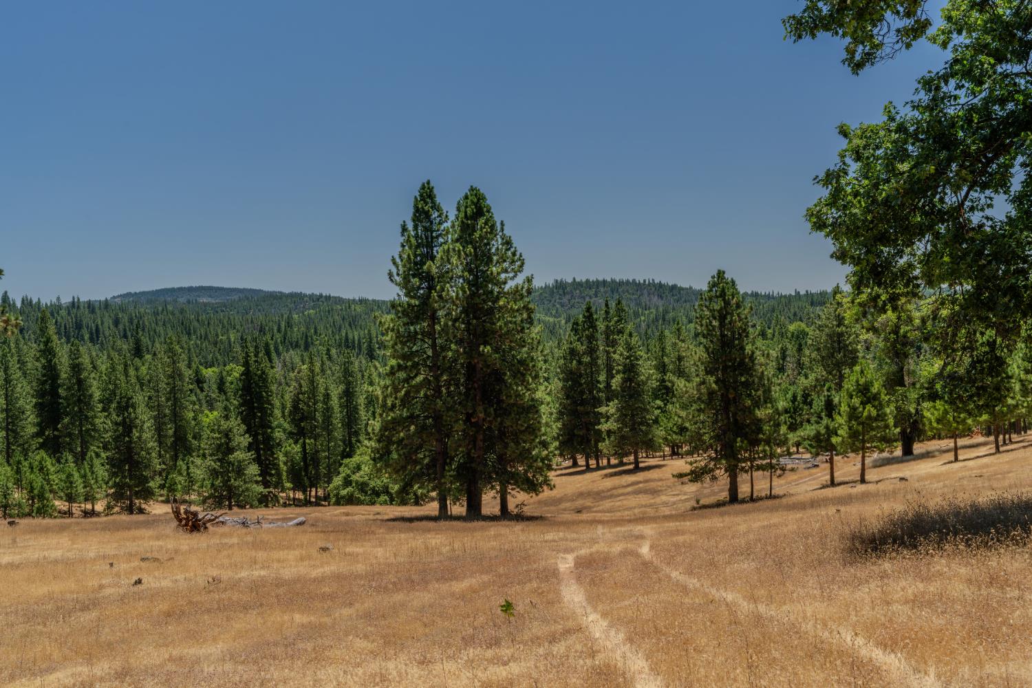 7401 Schaad Road Wilseyville, CA 95257 - Photo 70 of 76