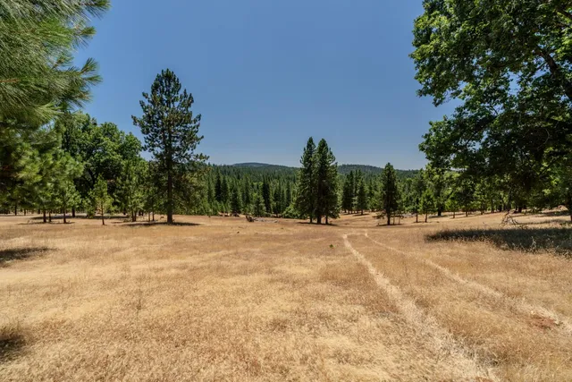 $2,750,000 | 7401 Schaad Road, Wilseyville, CA 95257