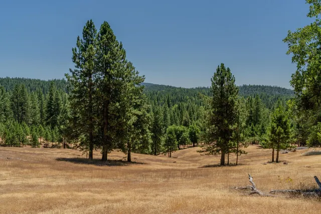 $2,750,000 | 7401 Schaad Road, Wilseyville, CA 95257