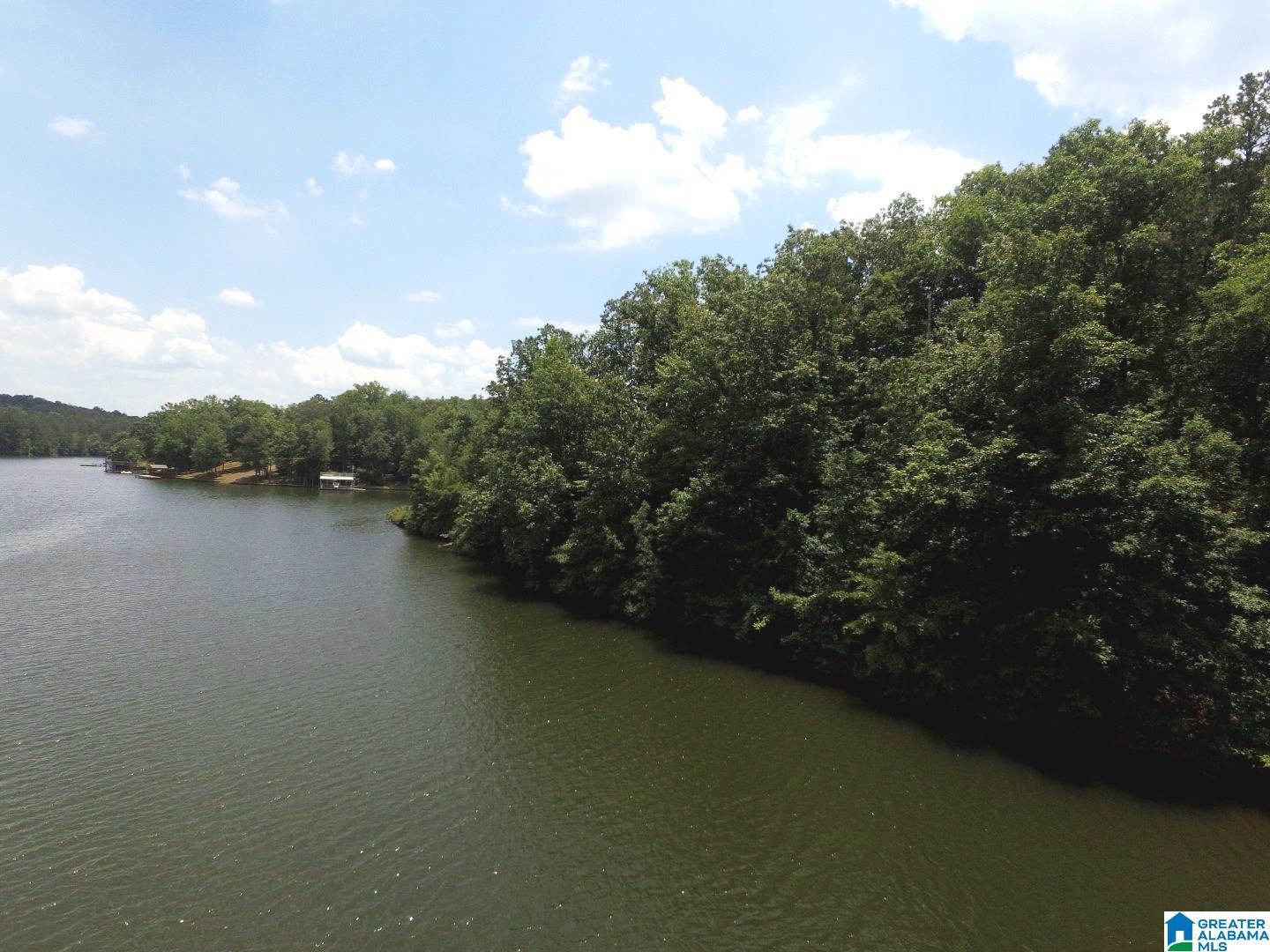 Brookwater Way, Unit 1 4 Wedowee, AL 36278 - Photo 2 of 13