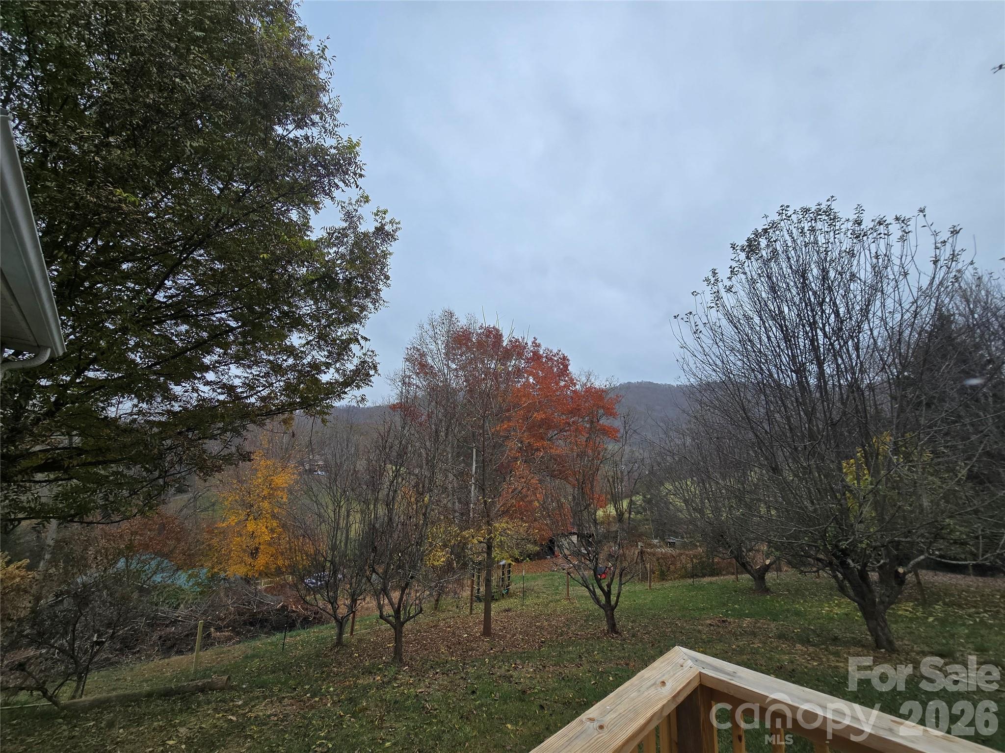 71 London Lane Clyde, NC 28721 - Photo 3 of 33