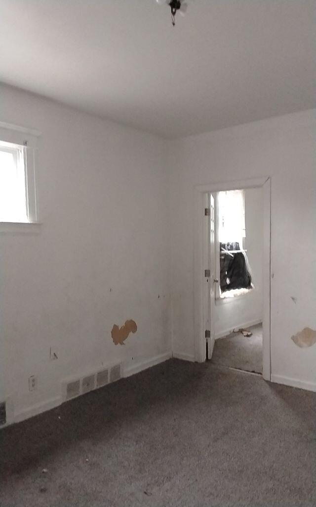 6307 Woodrow Street Detroit, MI 48210 - Photo 9 of 12 lower 2