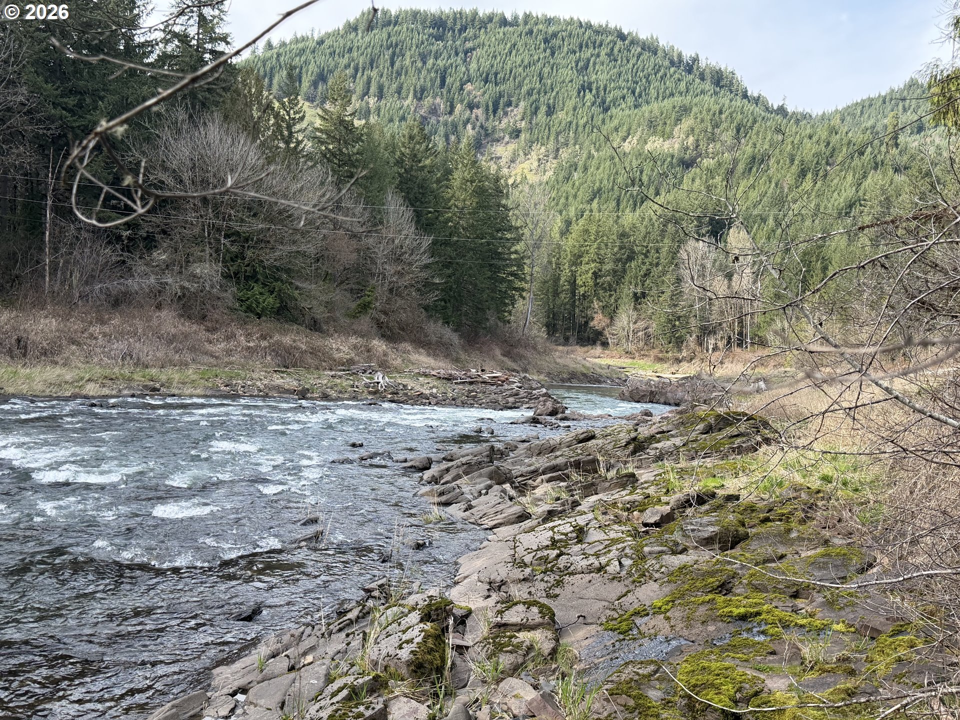 Big Fall Creek Road, Unit 802 Fall Creek, OR 97438 - Photo 2 of 5 Gallery Image 2