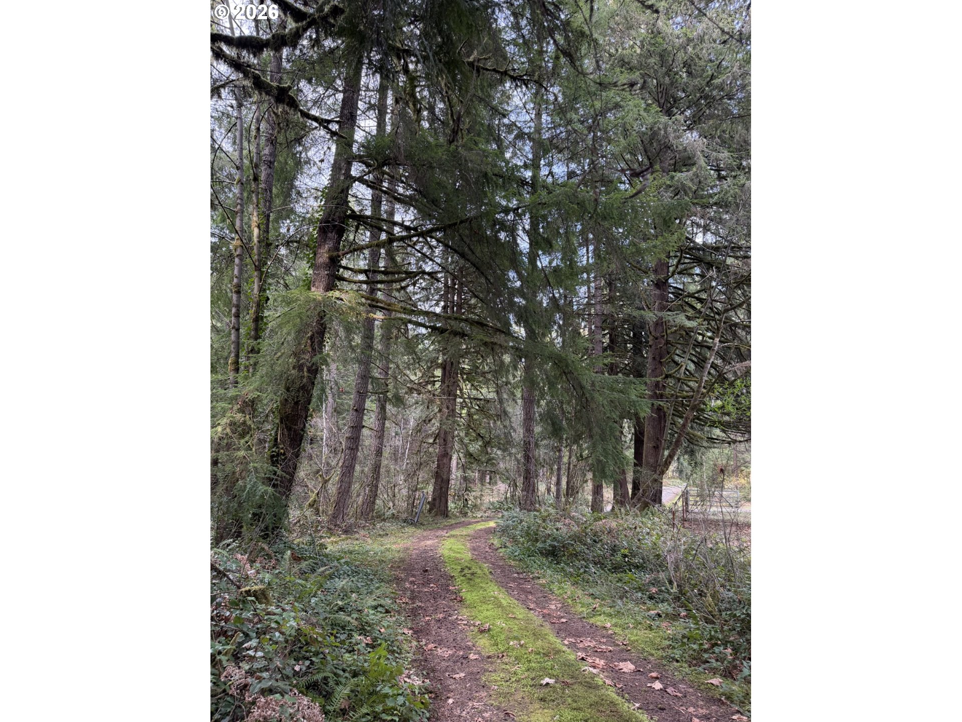 Big Fall Creek Road, Unit 802 Fall Creek, OR 97438 - Photo 5 of 5 Gallery Image 5