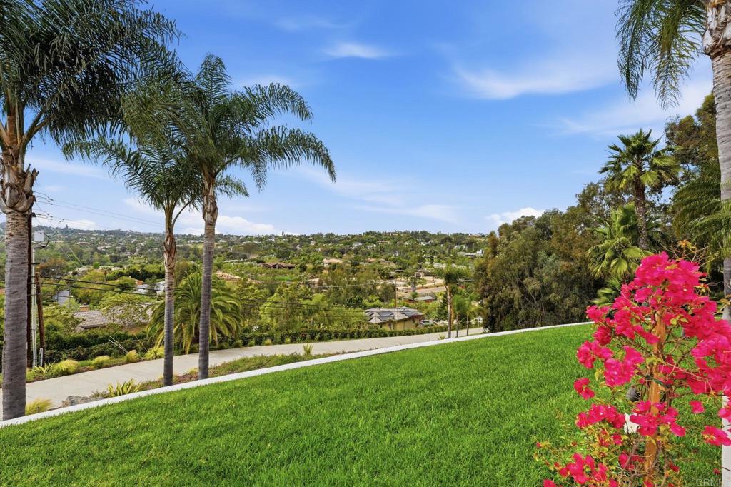 3244 Olivenhain Farms Road Encinitas, CA 92024 - Photo 3 of 47 a view of a garden with a tree