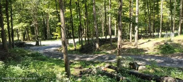 $85,000 | 786 Route 41 Cairo Ny 12413, Freehold, NY 12431