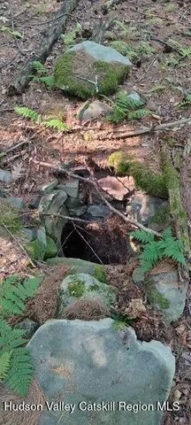 $85,000 | 786 Route 41 Cairo Ny 12413, Freehold, NY 12431