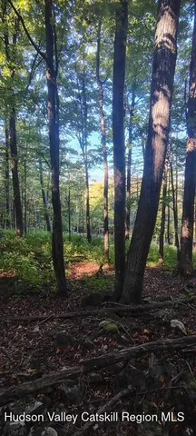 $85,000 | 786 Route 41 Cairo Ny 12413, Freehold, NY 12431