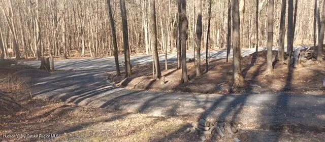 $85,000 | 786 Route 41 Cairo Ny 12413, Freehold, NY 12431