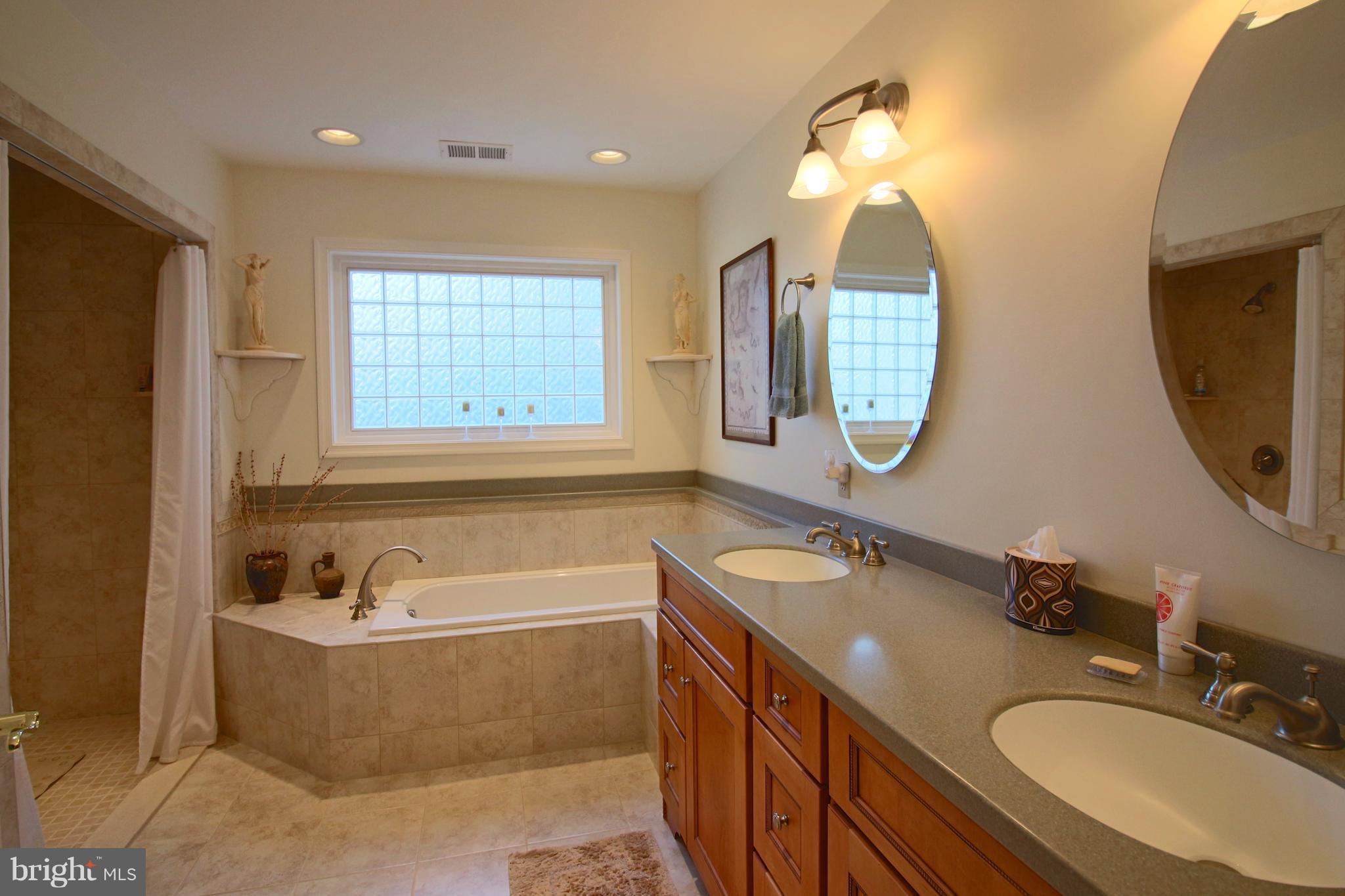 47 Cedar Road Severna Park, MD 21146 - Photo 17 of 30 Bath (Master)