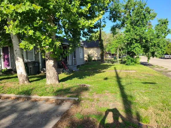 a view of a yard with plants and trees