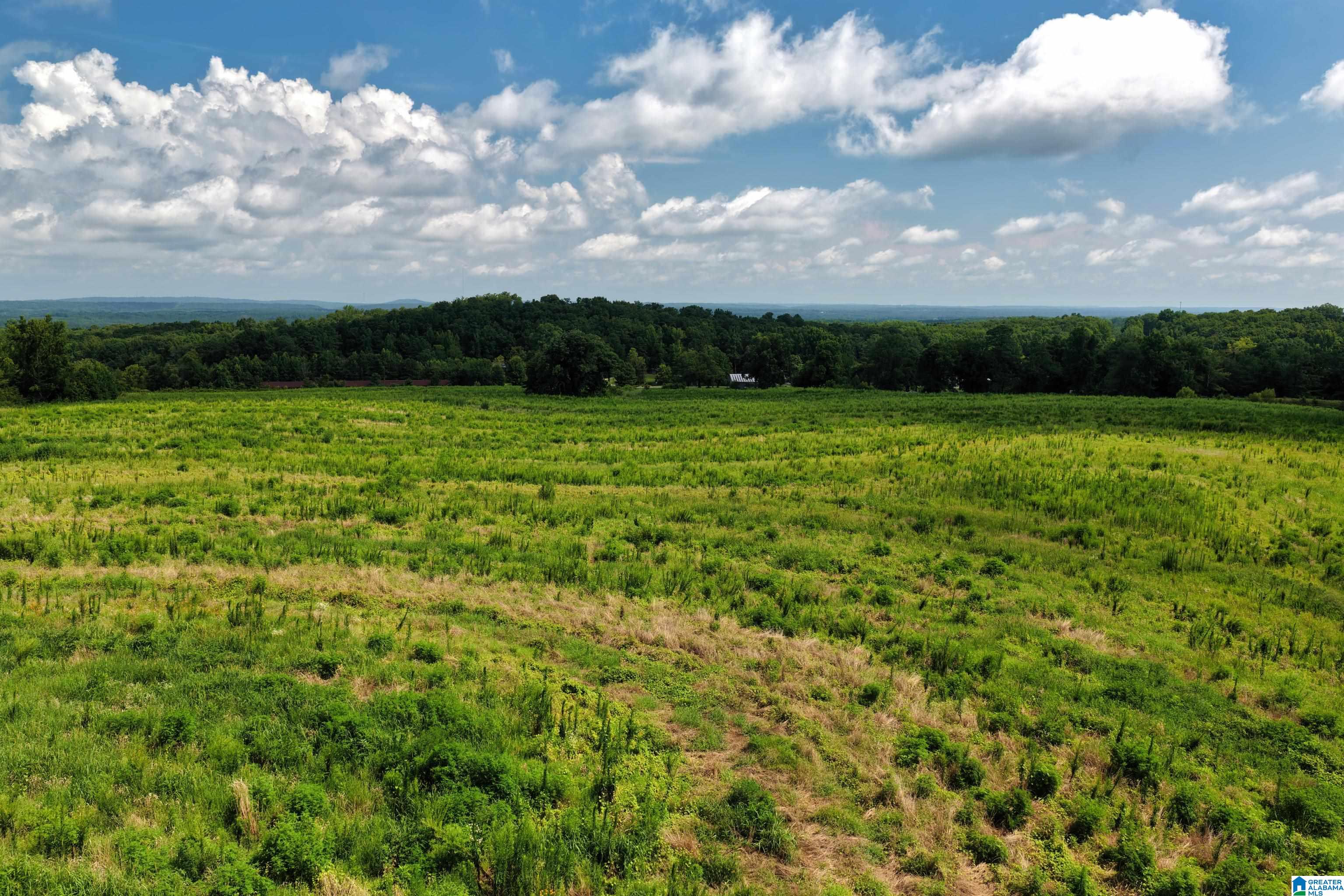 0 County Highway 27, Unit 47 Springville, AL 35146 - Photo 11 of 53