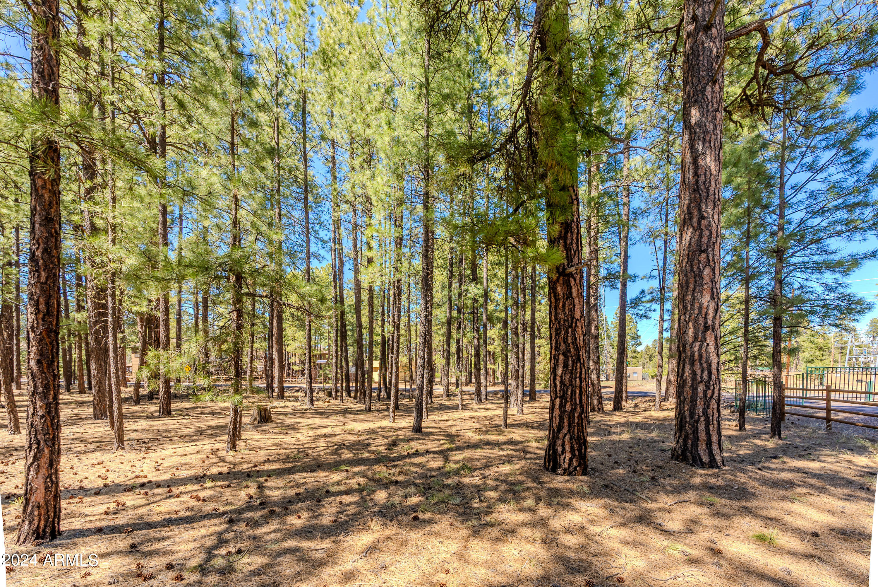 4583 Sky Hi Road Pinetop, AZ 85935 - Photo 4 of 30 4583 Sky Hi-04