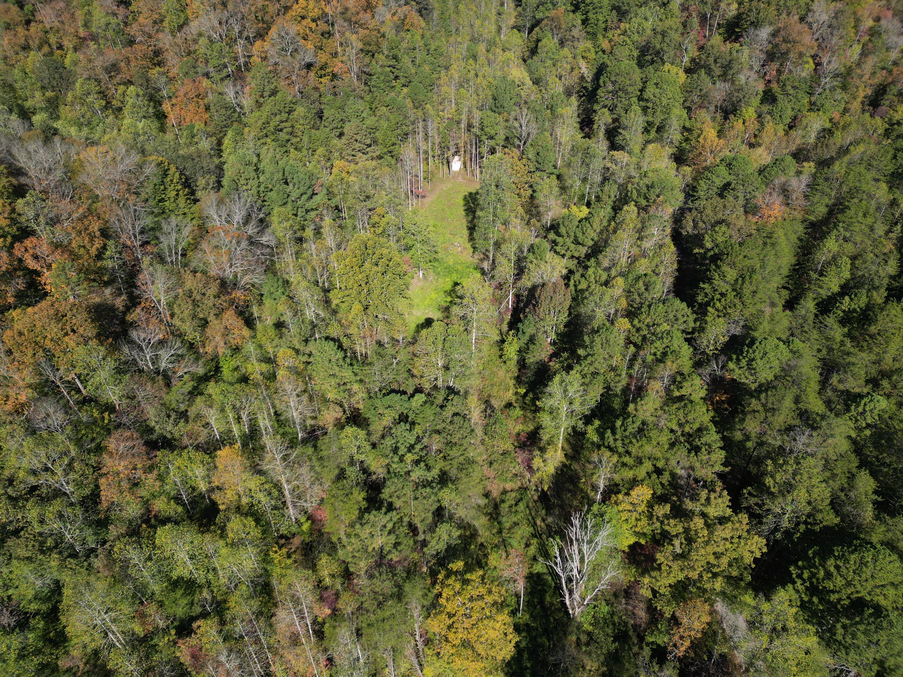 9999 Reed Branch Road Manchester, KY 40962 - Photo 40 of 48 DJI_0815