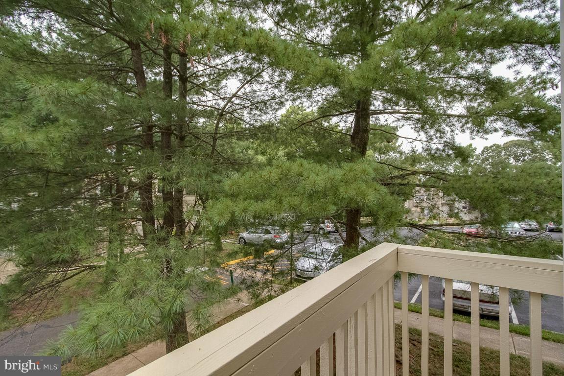 7210 Rolling Road Springfield, VA 22152 - Photo 8 of 27 Exterior (Rear)