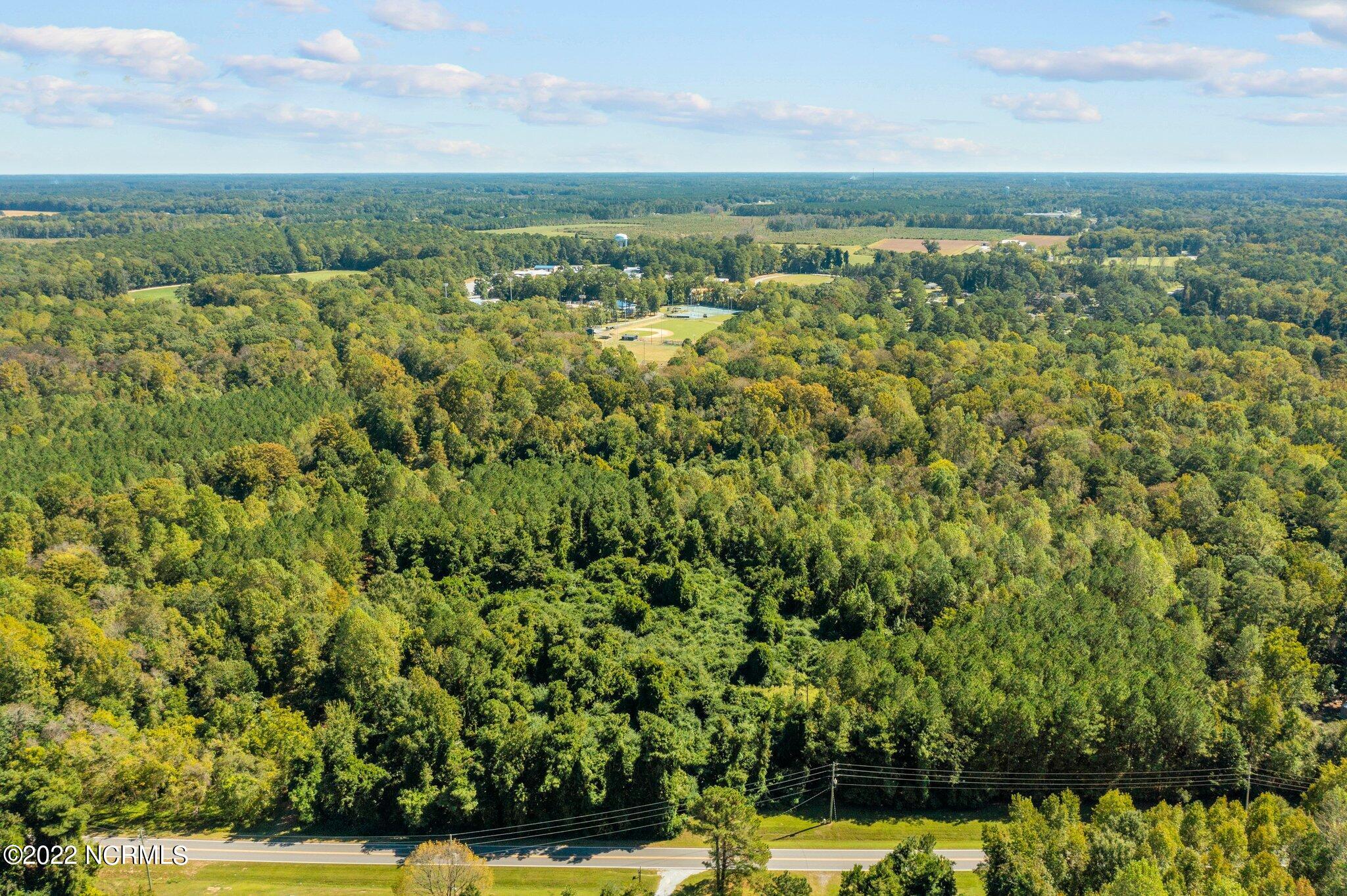 0 Keysville Road Washington, NC 27889 - Photo 3 of 12 2-web-or-mls-DJI_0833