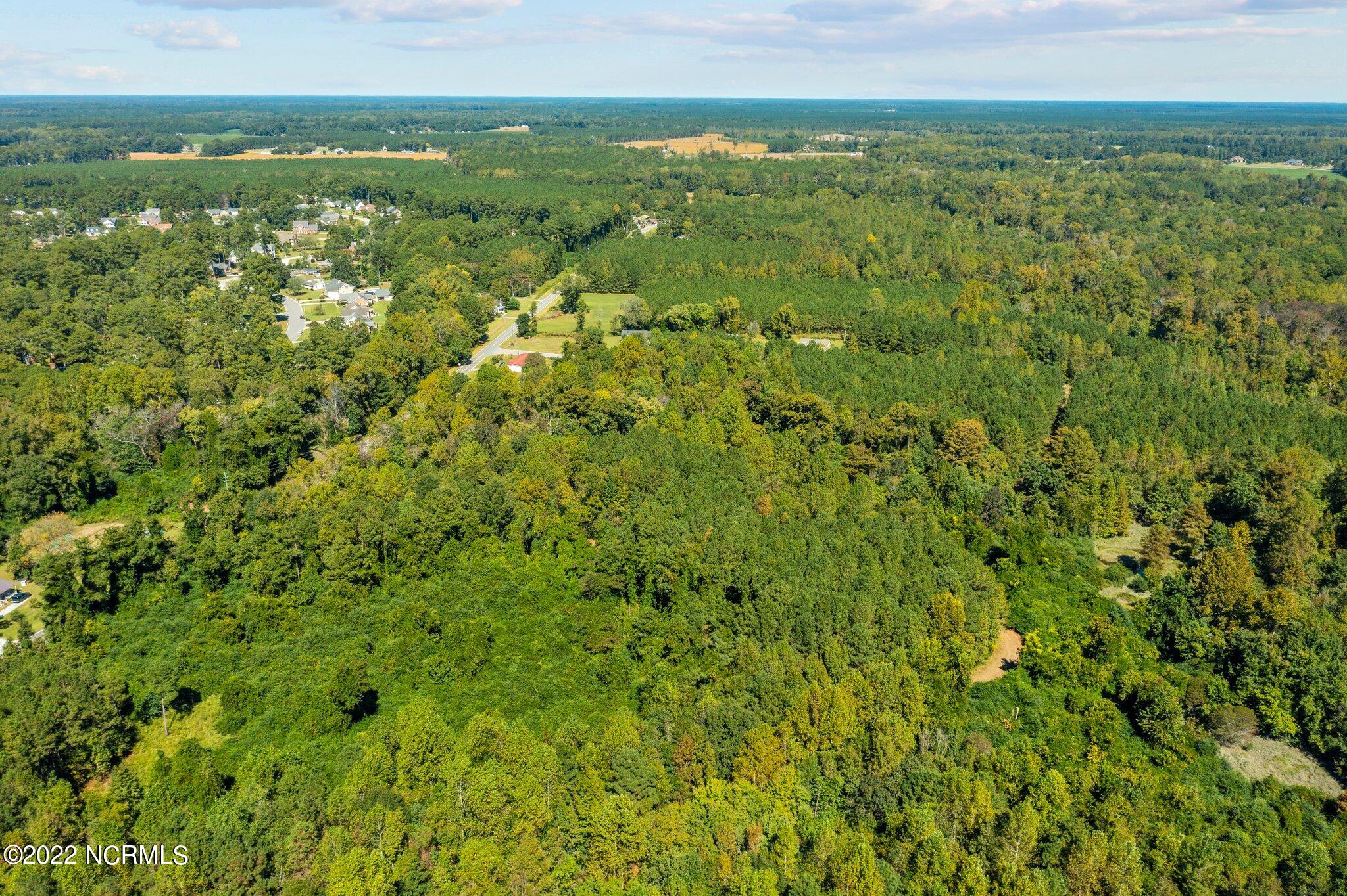 0 Keysville Road Washington, NC 27889 - Photo 4 of 12 3-web-or-mls-DJI_0834