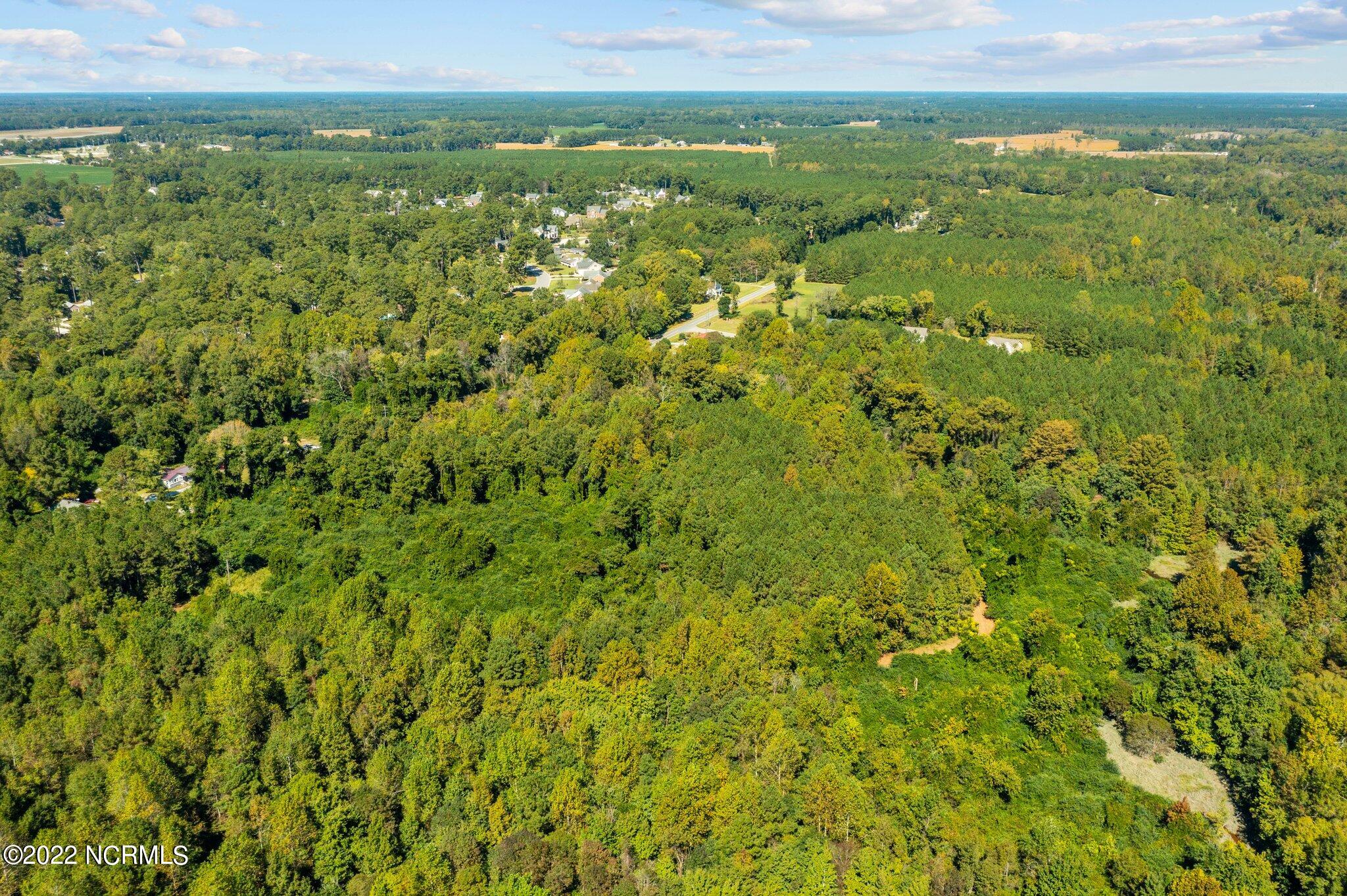 0 Keysville Road Washington, NC 27889 - Photo 5 of 12 4-web-or-mls-DJI_0835