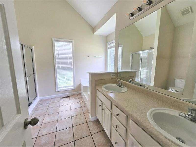 197 Meadow Spring Court Temple, GA 30179 - Photo 16 of 29 a bathroom with a sink a toilet a mirror and vanity