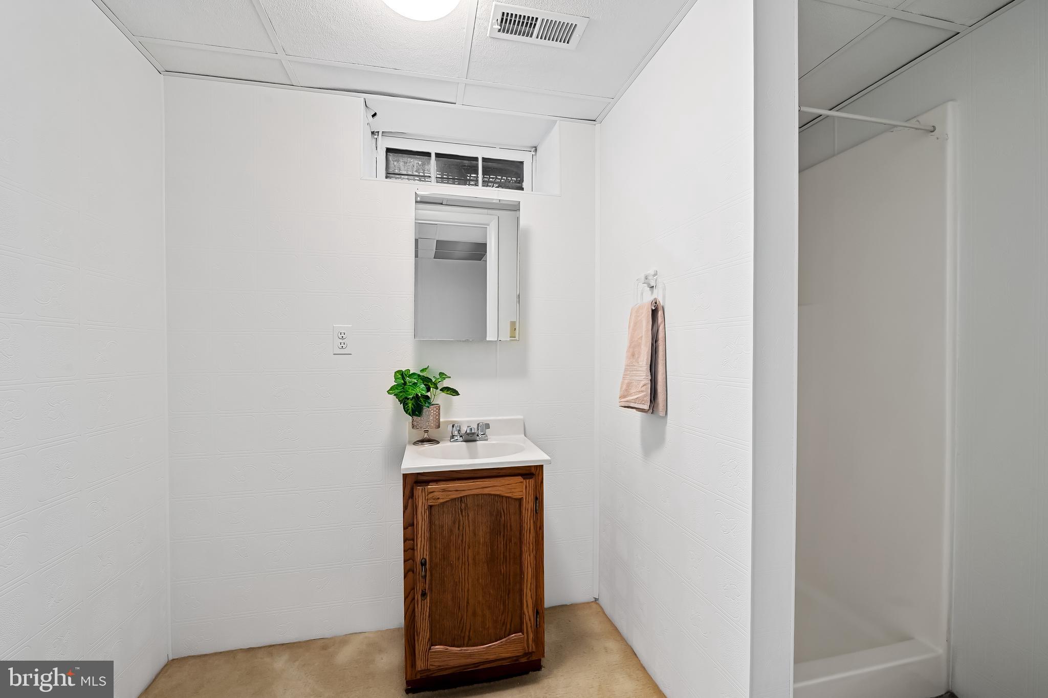 5902 Meadowood Road Baltimore, MD 21212 - Photo 66 of 81 Lower Level -full bath