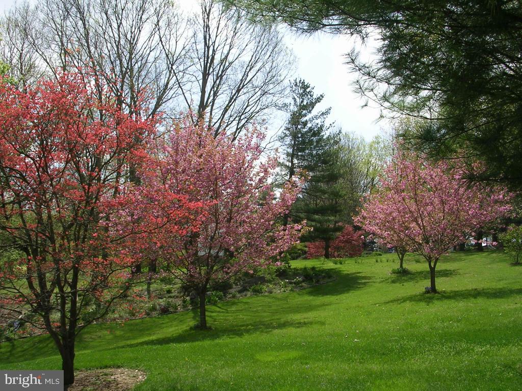 5 Deerfield Road Lancaster, PA 17603 - Photo 24 of 24 Gallery Image 24