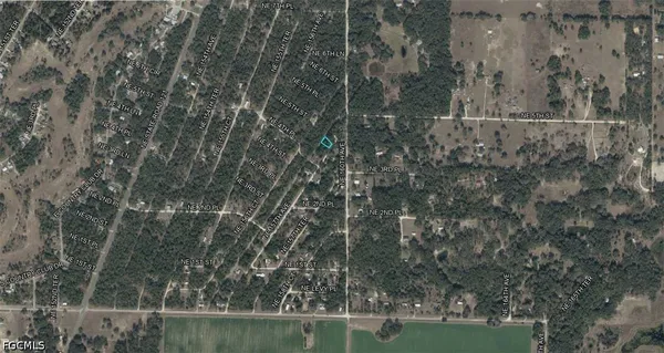 $11,000 | 9214-003-00 Northeast 157 Avenue, Williston, FL 32696
