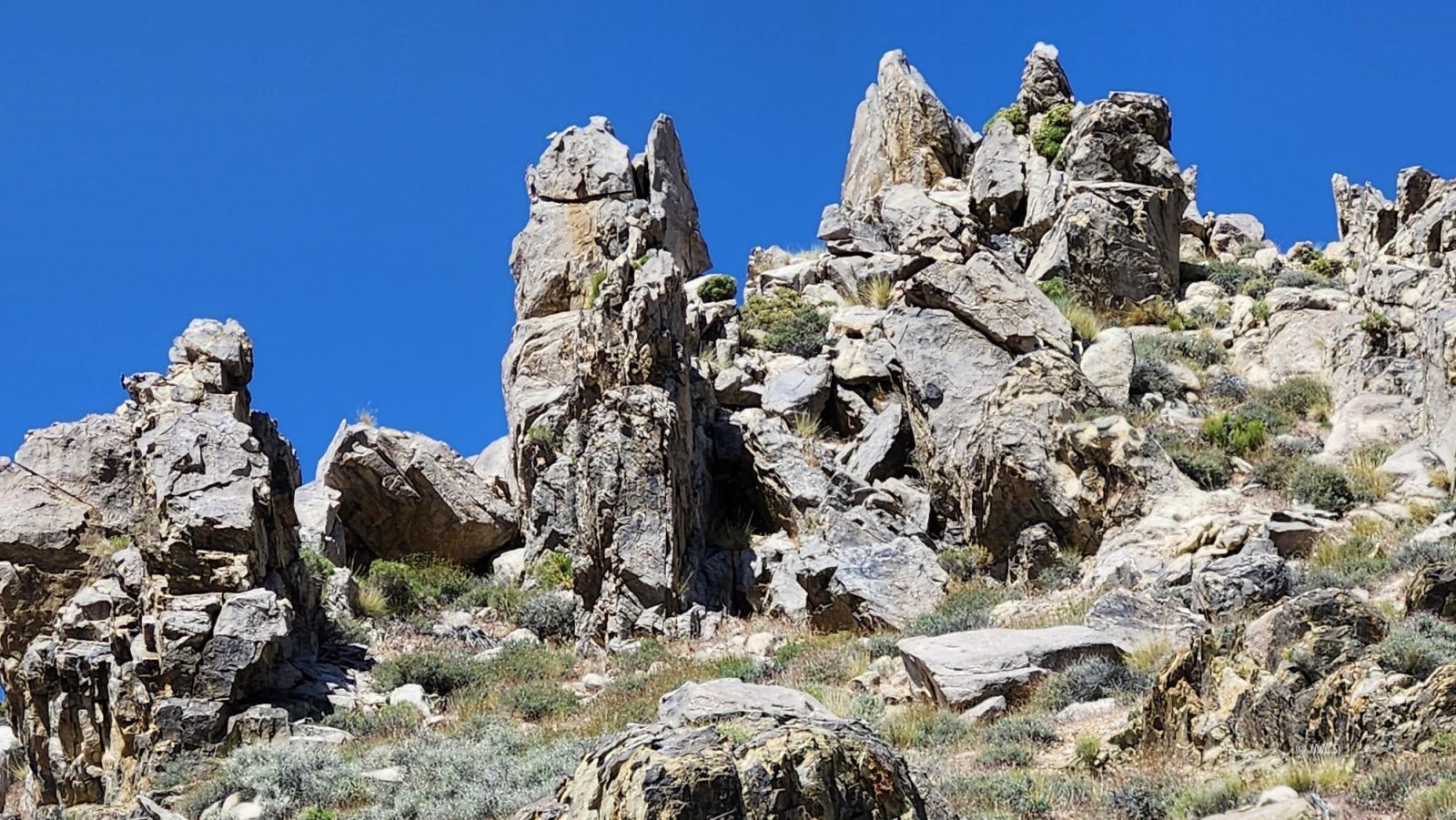 1915 Sage Flats Drive Olancha, CA 93549 - Photo 27 of 34 a view of a tree in front of a house