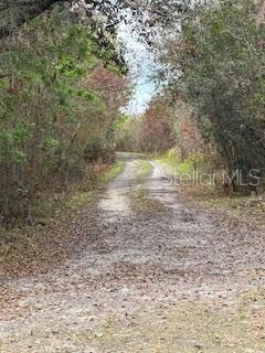 3095 Pastures Road Kissimmee, FL 34746 - Photo 24 of 24