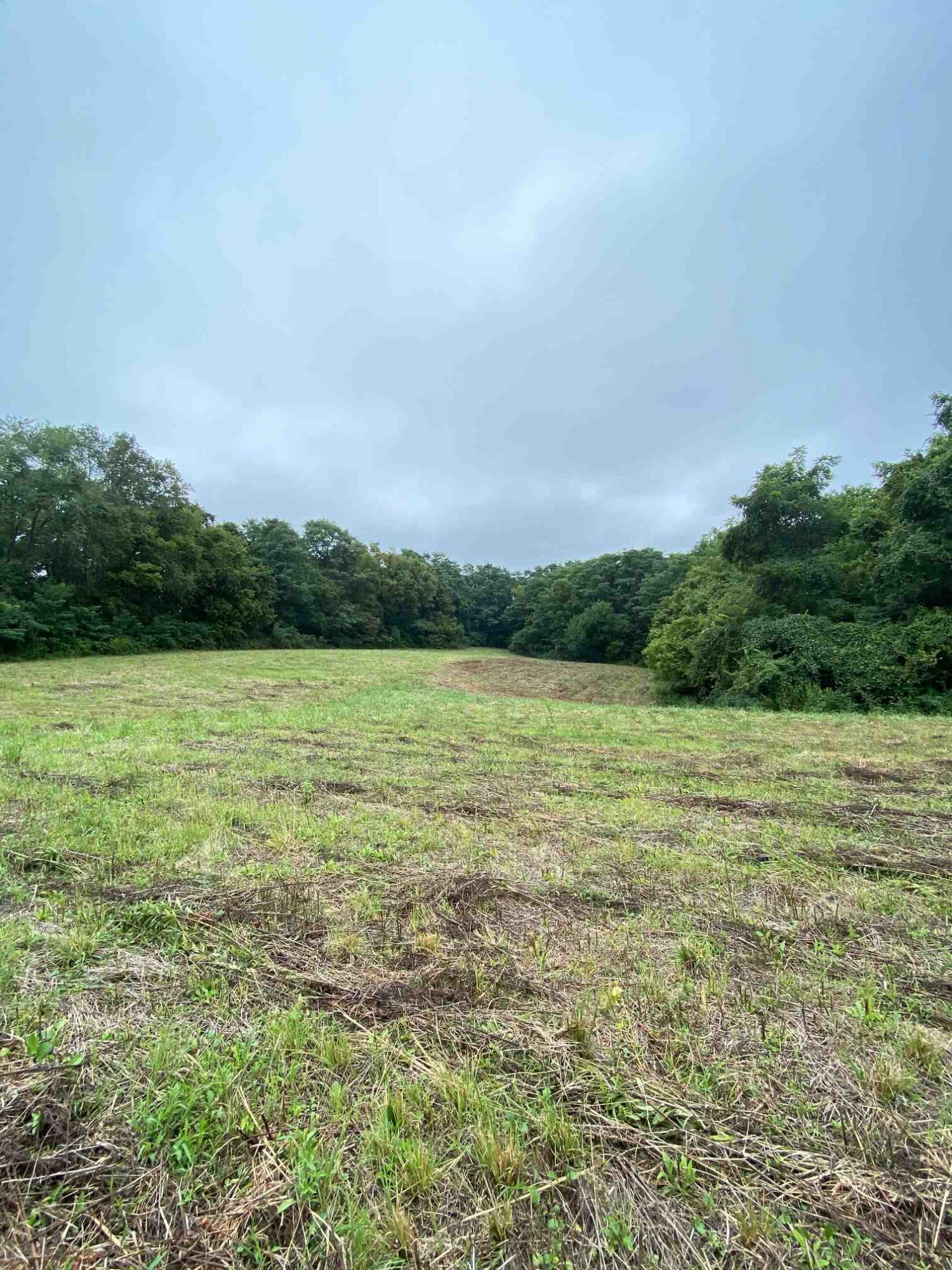 3 Baton Rouge Road Williamstown, KY 41097 - Photo 15 of 25