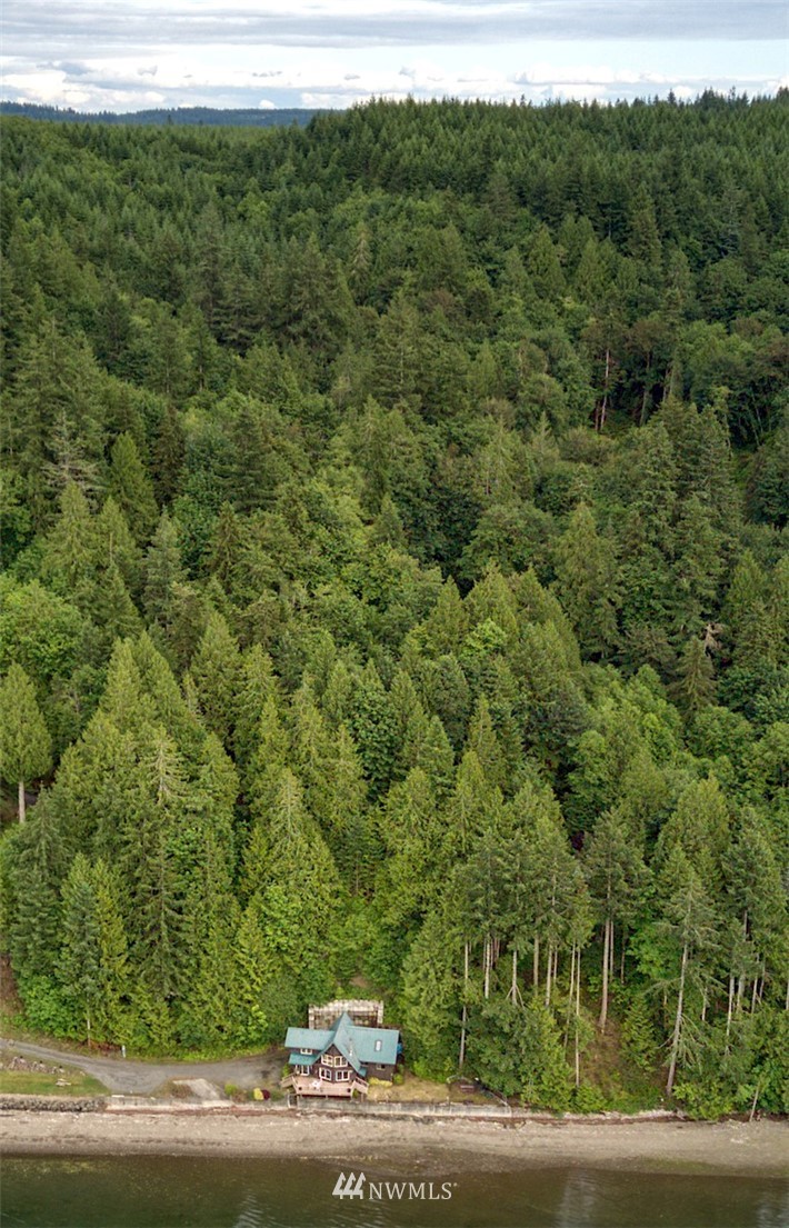 3370 East Quilcene Road Quilcene, WA 98376 - Photo 29 of 34 a view of a forest with a sink