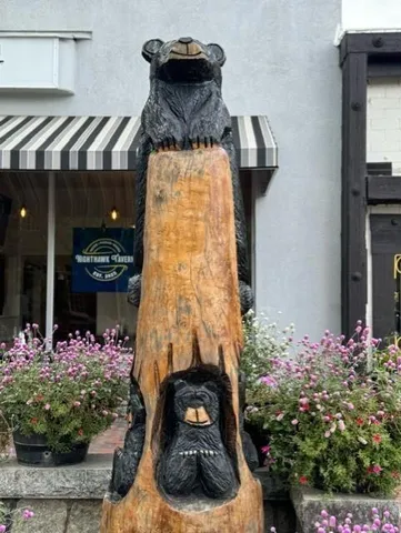 $881,500 | 315 Church Street, Dahlonega, GA 30533