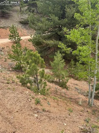 $13,000 | 1600 Pikes Peak Drive, Divide, CO 80814