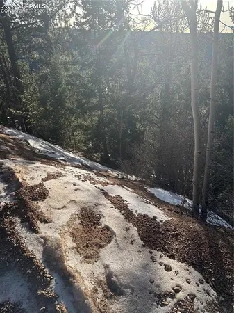 $13,000 | 1600 Pikes Peak Drive, Divide, CO 80814