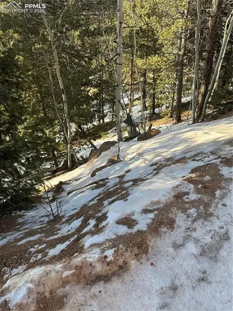 $13,000 | 1600 Pikes Peak Drive, Divide, CO 80814