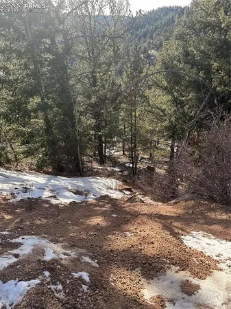 $13,000 | 1600 Pikes Peak Drive, Divide, CO 80814