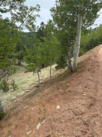$13,000 | 1600 Pikes Peak Drive, Divide, CO 80814