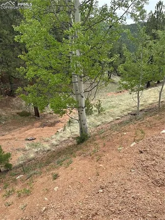 $13,000 | 1600 Pikes Peak Drive, Divide, CO 80814