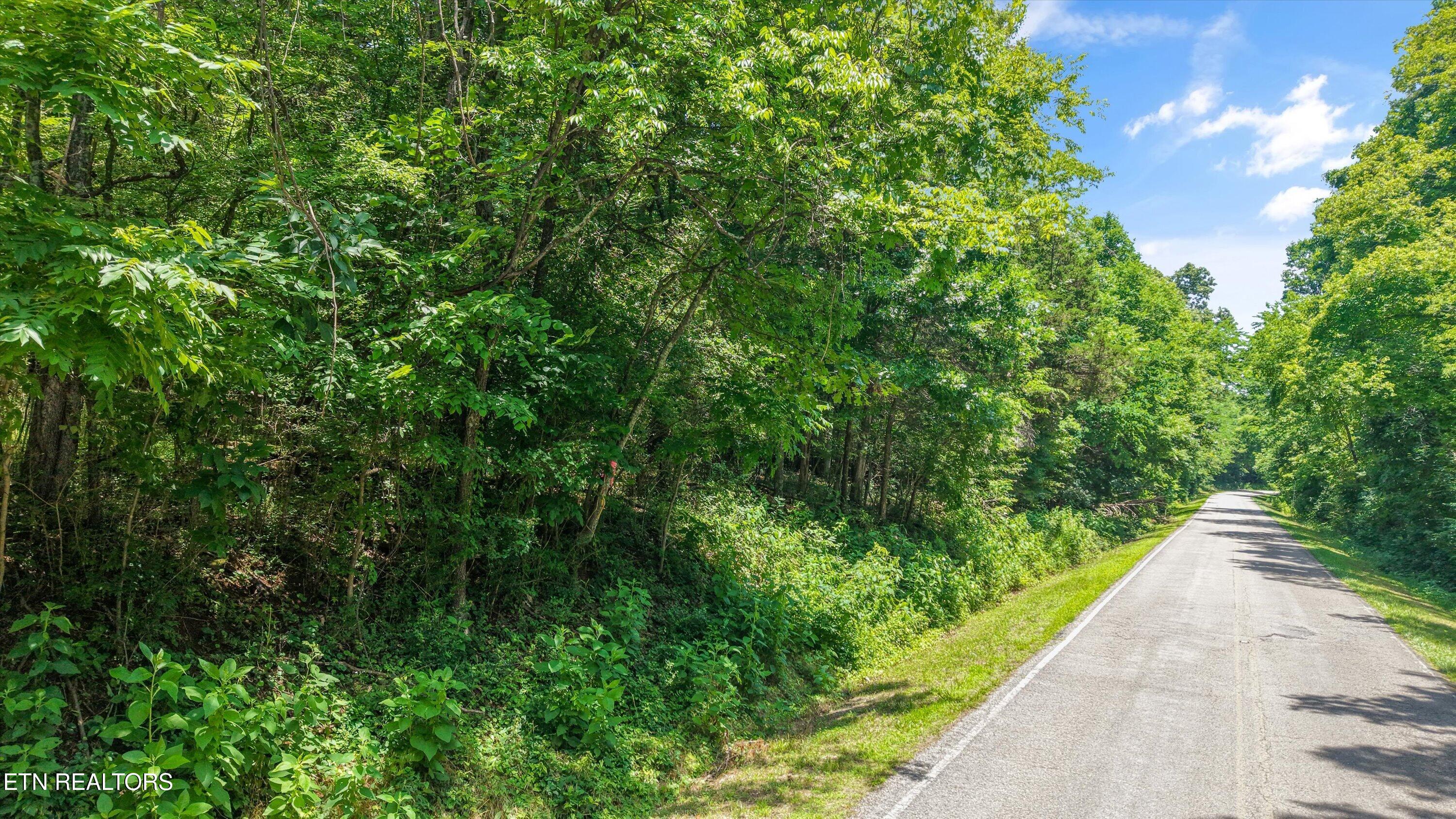 1499 Dogwood Valley Road Loudon, TN 37774 - Photo 2 of 13 09-1499 Dogwood Valley Rd 01