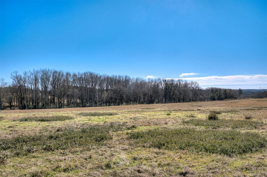 Lot 5 Wire Road Aiken, SC 29801 - Photo 3 of 10
