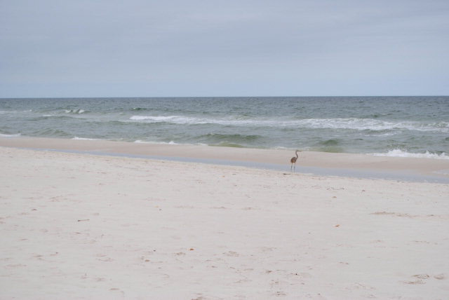 655 Cabana Beach Road Gulf Shores, AL 36542 - Photo 32 of 39