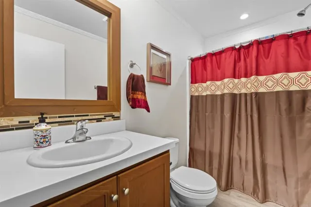 a bathroom with a sink a toilet and shower curtain