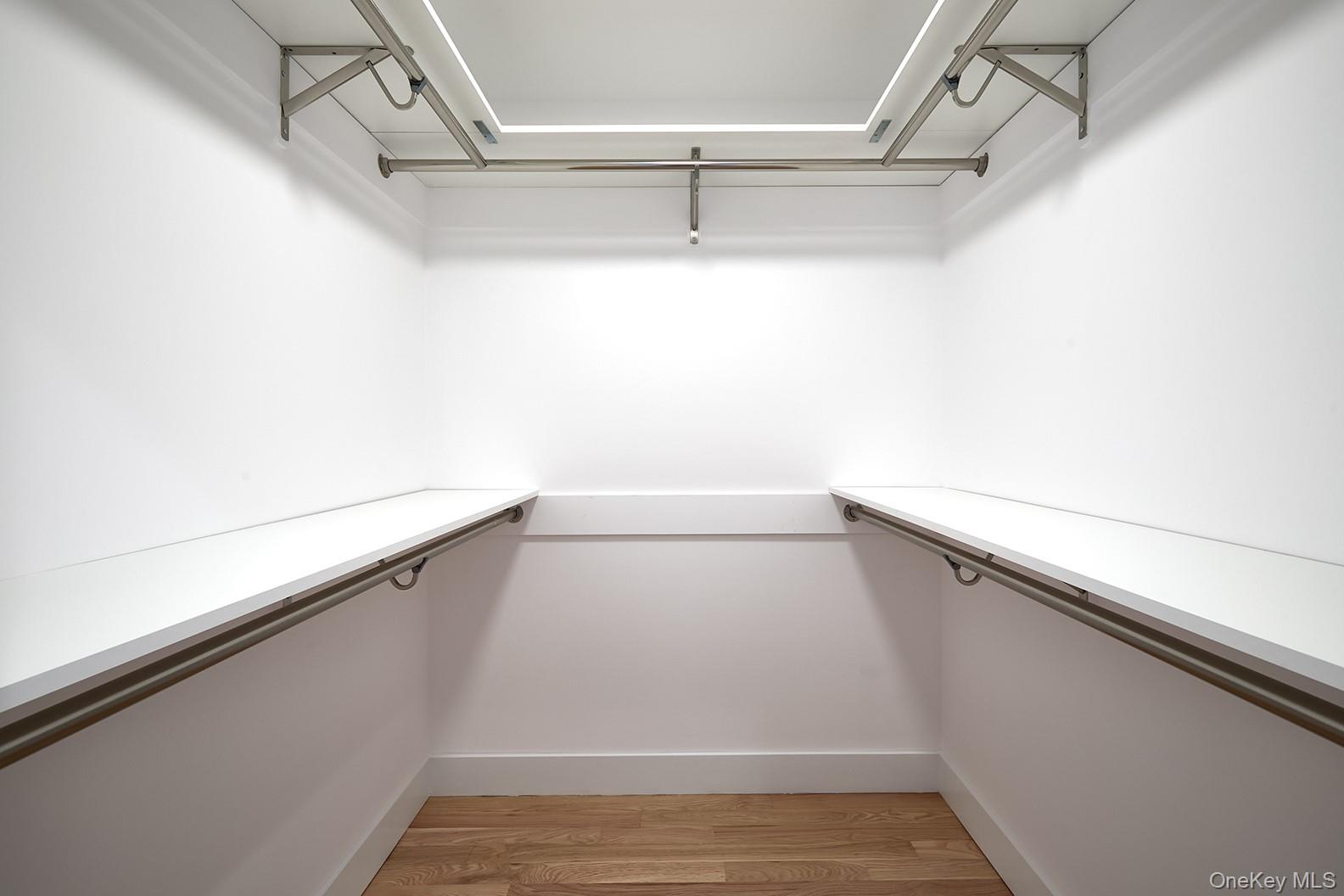 1480 Adam Place Wantagh, NY 11793 - Photo 15 of 22 Spacious closet featuring light wood finished floors