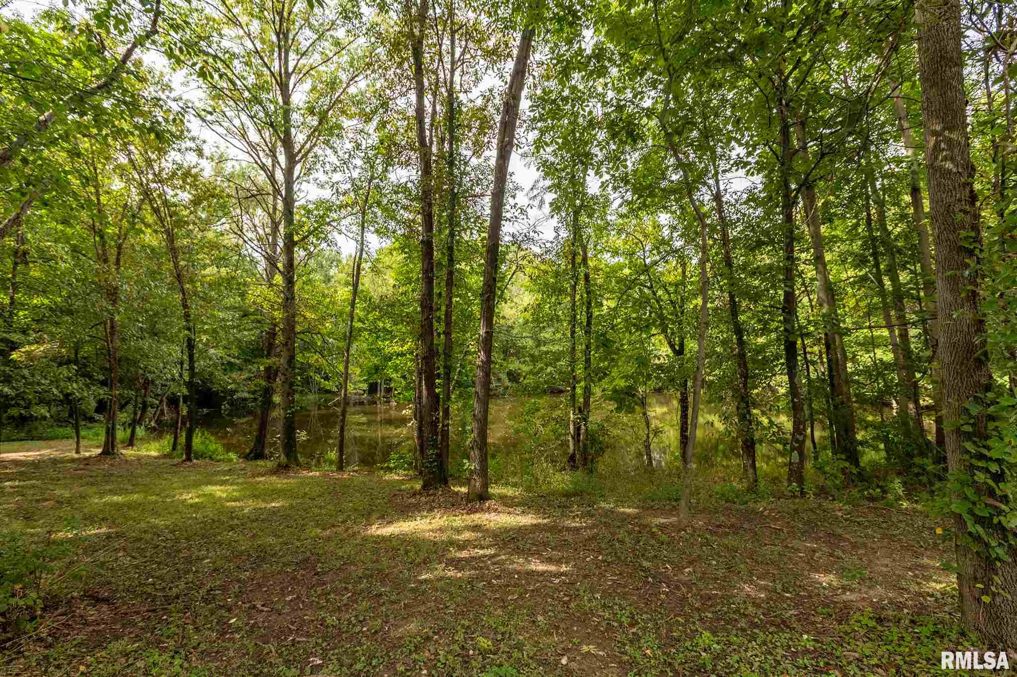 5247 Saline River Road Marion, IL 62959 - Photo 38 of 44 Gallery Image 38