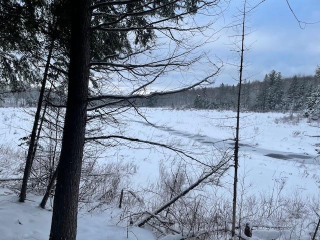 Off Fire Tower Road, Unit 40 AC Watersmeet, MI 49969 - Photo 2 of 37 Gallery Image 2
